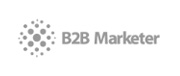 B2B Marketer